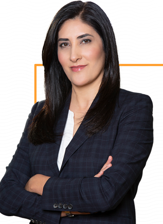 Ninaz Saffari, Lawyer